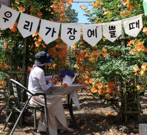 비체올린 - 2인 무료입장권