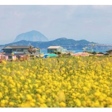 가파도정기여객선 - 2인 왕복승선권
