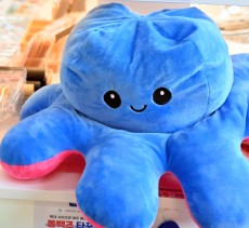 루나씨 속초점 - 5만원 자유이용권