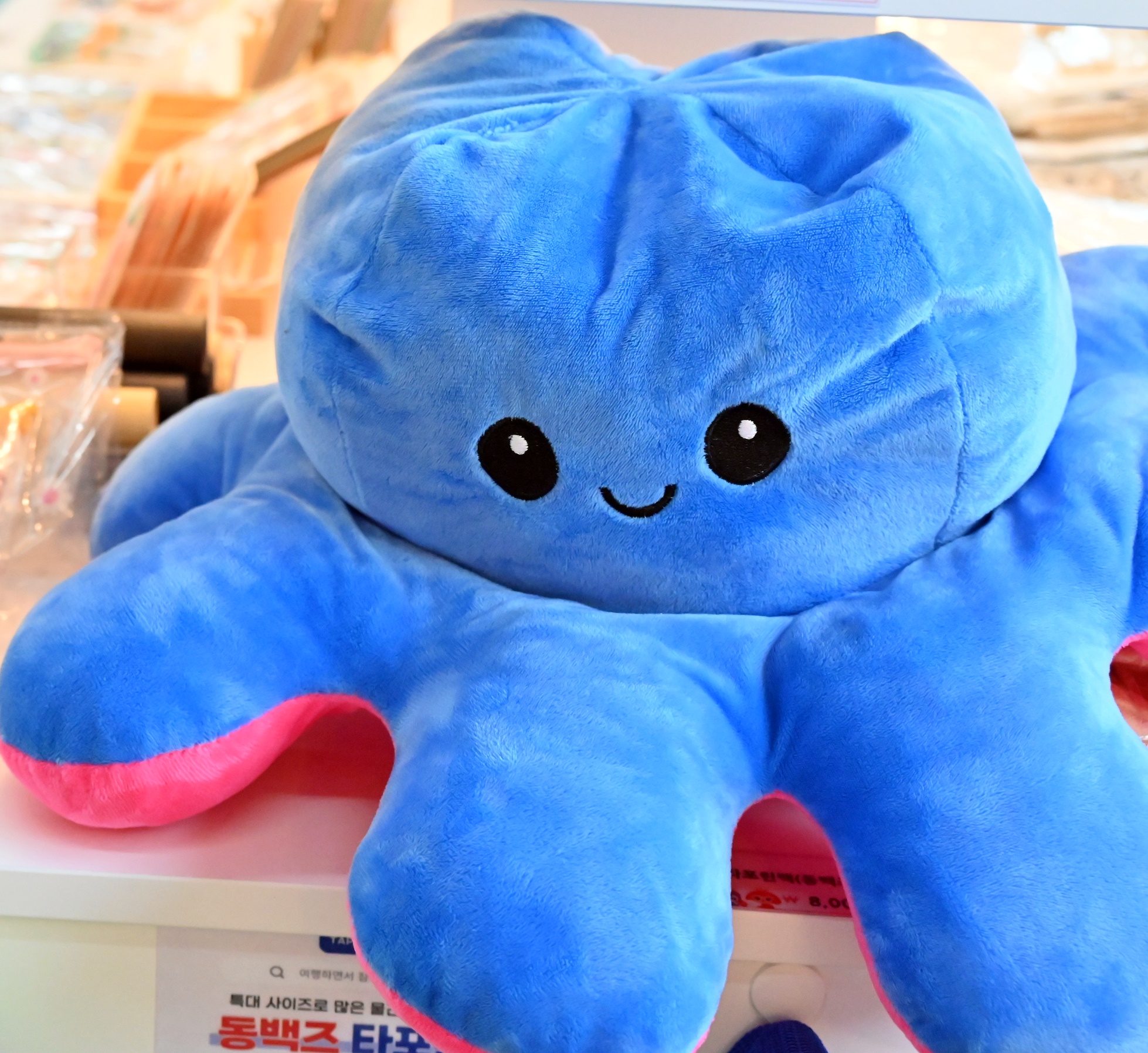 루나씨 속초점 - 5만원 자유이용권