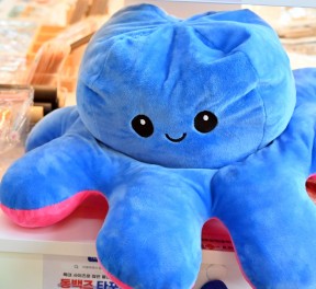 루나씨 속초점 - 5만원 자유이용권