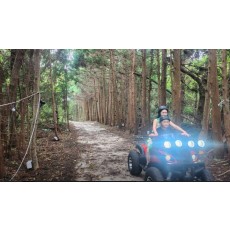 숲속바이크 - 성인4인 기준 무료 입장권 (소아포함으로 변경 가능)