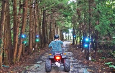 숲속바이크 - 성인4인 기준 무료 입장권 (소아포함으로 변경 가능)