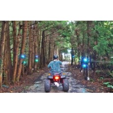 숲속바이크 - 성인4인 기준 무료 입장권 (소아포함으로 변경 가능)