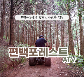 편백포레스트(릴스,클립,블로그)   -   먹이주기 체험,  atv 기본코스  4인 무료입장권 (소아포함으로 변경가능)