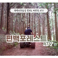 [클립/릴스 中 택1]편백포레스트