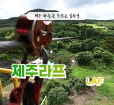 [클립/릴스 中 택1]제주라프