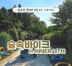 [블로그/클립/릴스 中 택1]숲속바이크
